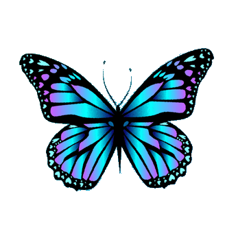 favicon.png